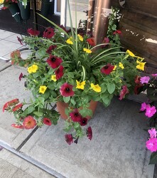 Patio Pots from Pennycrest Floral in Archbold, OH