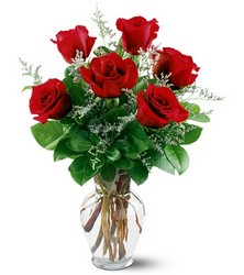 6 Red Roses from Pennycrest Floral in Archbold, OH